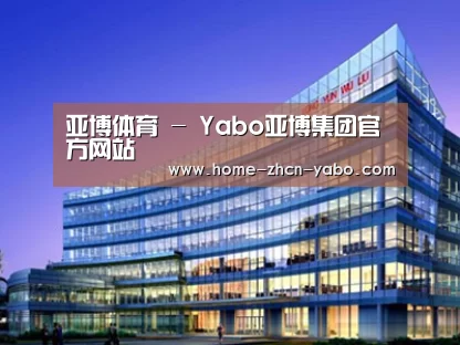 案例展示五