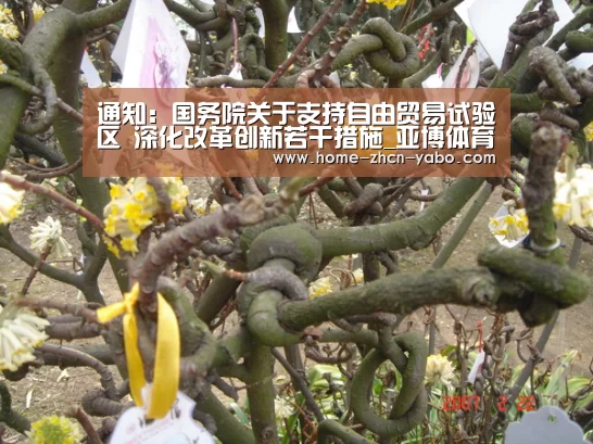 通知:国务院关于支持自由贸易试验区 深化改革创新若干措施_亚博体育官网(图2) 亚博官方