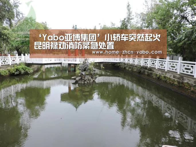 ‘Yabo亚博集团’小轿车突然起火 昆明禄劝消防紧急处置(图4) 亚博体育官网